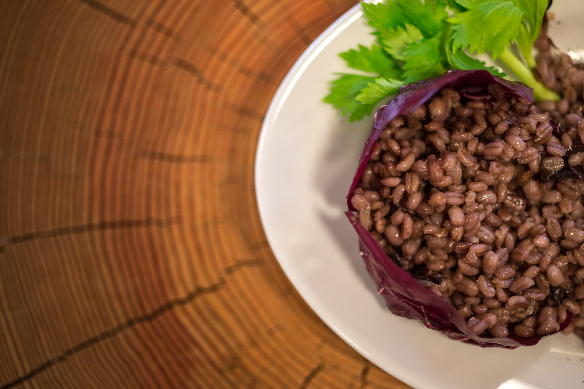 Alpen Color Hotel Tonale | Val di Sole | Pranzi